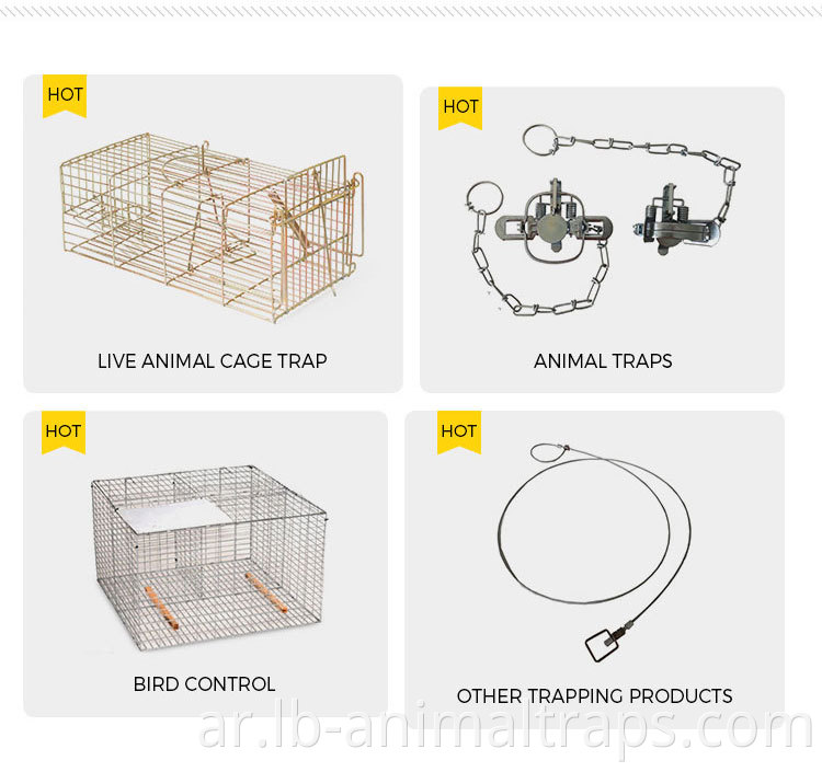 Live Mouse Cage Trap